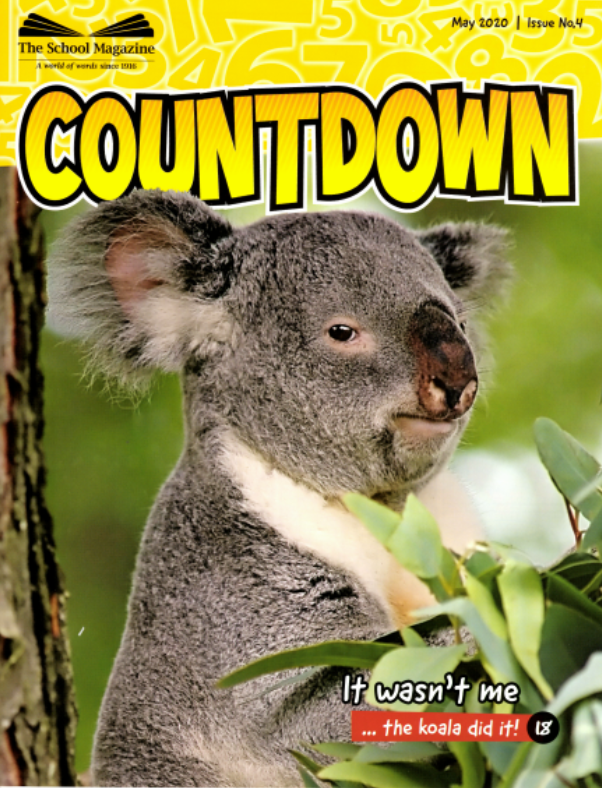 Countdown, May 2020
An imperious-looking koala