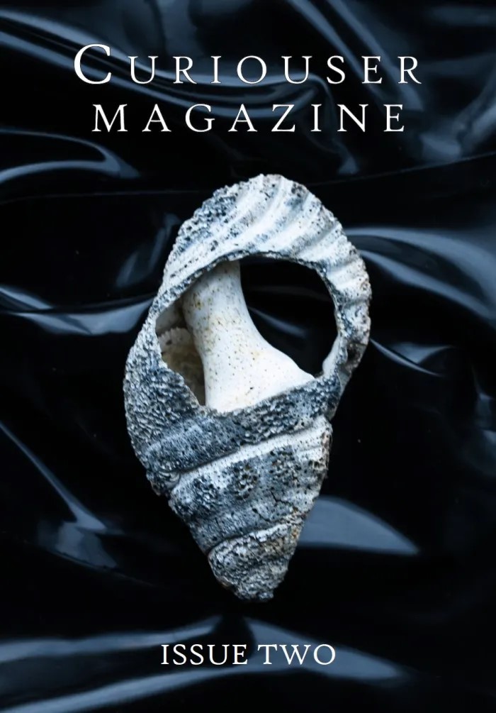 Curiouser Magazine Issue Two
Black background, prominent sea shell