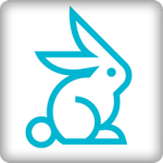 Gavagai rabbit